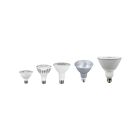 Naturaled LED9PAR30-80L-FL-830 9W E26 LED Bulb