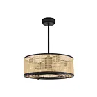 Savoy House Astoria 25-FD-1650-89 27 Matte Black 36W Ceiling Fan