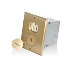Leviton 25249-TFB Brass Tamper-Resistant Duplex Floor Box