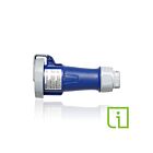 Leviton 430C9WLEVPI 30 Amp Pin/Sleeve Connector W/Ind-Blue