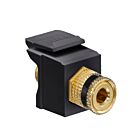 Leviton 40833-BEE Black/Black Straight Bind Post