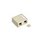 Leviton 41089-2IP 2 Port Ivory Surface Mount