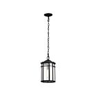 Nuvo Lighting Raiden 60-5759 1-Light 100W Matte Black Outdoor Hanging Light