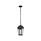 Nuvo Lighting East River 60-5944 1-Light 100W Matte Black Outdoor Hanging Light