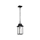 Nuvo Lighting Austen 60-5996 1-Light 100W Matte Black Outdoor Hanging Light