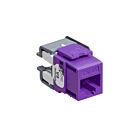 Leviton 6110G-RP6 Purple 10G 8P8C Jack