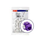Leviton 61110-BP6 Purple Interface Bezel & Connector