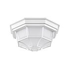 Nuvo Lighting 62-1399 White Outdoor Ceiling Light
