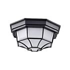 Nuvo Lighting 62-1400 Black Outdoor Ceiling Light