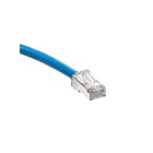 Leviton 6As10-7L 6A 7Ft Blue Patch Cord