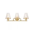 Savoy House 8-3596-3-322 Candler 3-Lights 180W Brass Vanity Light 
