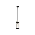 Artcraft Bonita AC11511BB Black and Brushed Brass 40W Rod Pendant