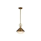 Artcraft Abruzzo AC11861BR Brass 60W Rod Pendant