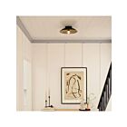 Kichler 38259 Black Ceiling Light