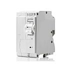 Leviton LB250-EP Branch Breaker V1.0 Gfpe 2Sp 50A