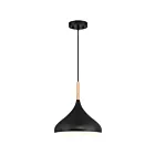 Access Lighting 52086-BL-WGN Olivia 1-Light Incandescent 60W Black Pendant