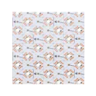 American Lighting CNVSHD-TW-12x24 24W 24" Canvas Sheet