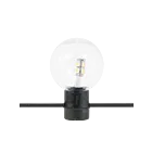American Lighting LFS-12V-1-LED-WW 1W Black String Light