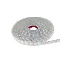 Arani TLS-1PT5W-12V-30K-WP 24W 16' LED Tape Light 3000K