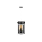 Artcraft AC10051BK Dahlia 180W Black Pendant