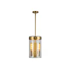 Artcraft AC10051BR Dahlia 180W Brushed Brass Pendant