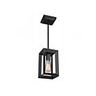 Artcraft Vineyard AC10061 Matte Black Pendant
