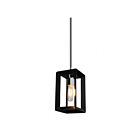 Artcraft Vineyard AC10061BC Black Chrome Pendant