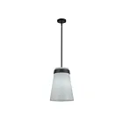 Artcraft AC10640BK Dahlia 60W Black Pendant