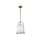 Artcraft AC10650BR Dahlia 60W Brushed Brass Pendant