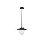 Artcraft AC11905BB Dahlia 60W Black Pendant