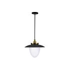 Artcraft AC11906BB Dahlia 180W Brushed Brass Pendant
