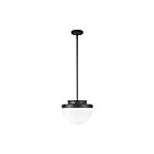 Artcraft AC12010BK Dahlia 60W Black Pendant