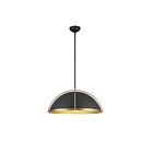 Artcraft AC12041BB Dahlia 60W Black and Brushed Brass Pendant
