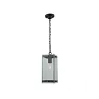 Artcraft Bradgate AC8145BK 1 Light 60W Outdoor Pendant