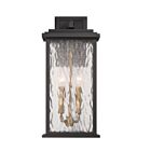 Artcraft AC9272BK Estate 120W Black and Brass Wall Sconce