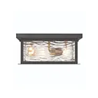 Artcraft AC9276BK Estate 180W Black and Brass Flush Mount