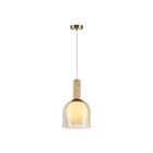 Artcraft SC13380BR Juna 1-Light 60W Brass Pendant