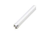 Beyond LED 153482 18W 5000K 4' T8 LED Glass Tube 