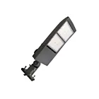 Beyond LED 155663 300W Grey Area Light