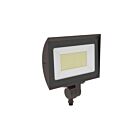 Beyond LED 155665 100W Bronze LED Flood Light