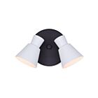 Canarm Radley ICW1163A02BW10 2-Lights Matte Black and Matte White Track Light