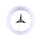 Canarm IFL2126B62BKW 1-Light 150W Matte Black Floor Lamp