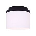 Canarm IFM1234A09BK-FO Britton 60W Matte Black Flush Mount