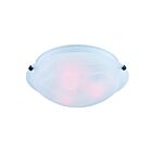 Canarm IFM1612BK 2-Lights Matte Black 120W Flush Mount