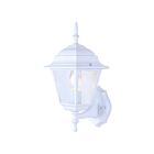 Canarm IOL111 100W White Outdoor Light