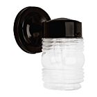 Canarm IOL2010 60W Black Outdoor Light