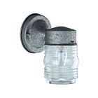 Canarm IOL2075 1-Lights antique pewter 60W Outdoor Wall Light