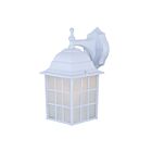 Canarm IOL2511 100W White Outdoor Light