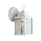 Canarm IOL311 100W White Outdoor Light