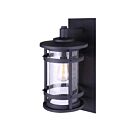 Canarm Iol340Bk Duffy 1-Light 100W Black Outdoor Wall Mount